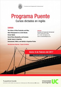 Afiche_Program_Puente_2017